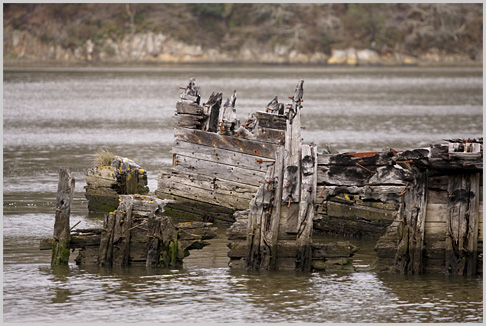 Rgion de Lorient - Mars 2010