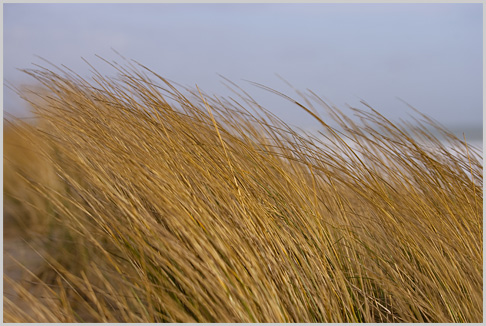 Rgion de Lorient - Mars 2010