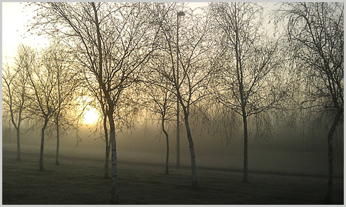 Un matin de mars 2010