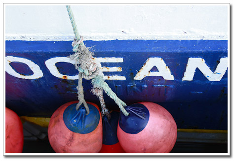 Port en Bessin - Janvier 2010