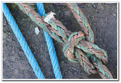 Port en Bessin - Janvier 2010